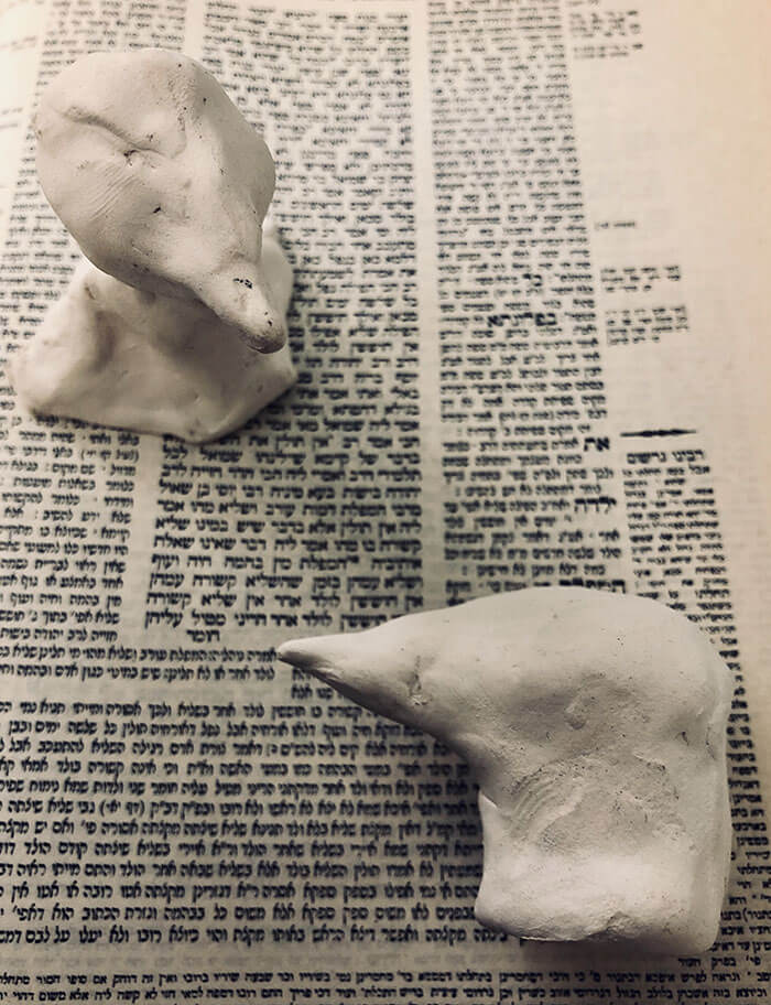 RRNeis-Detail-from-Birds-Born-of-Humans